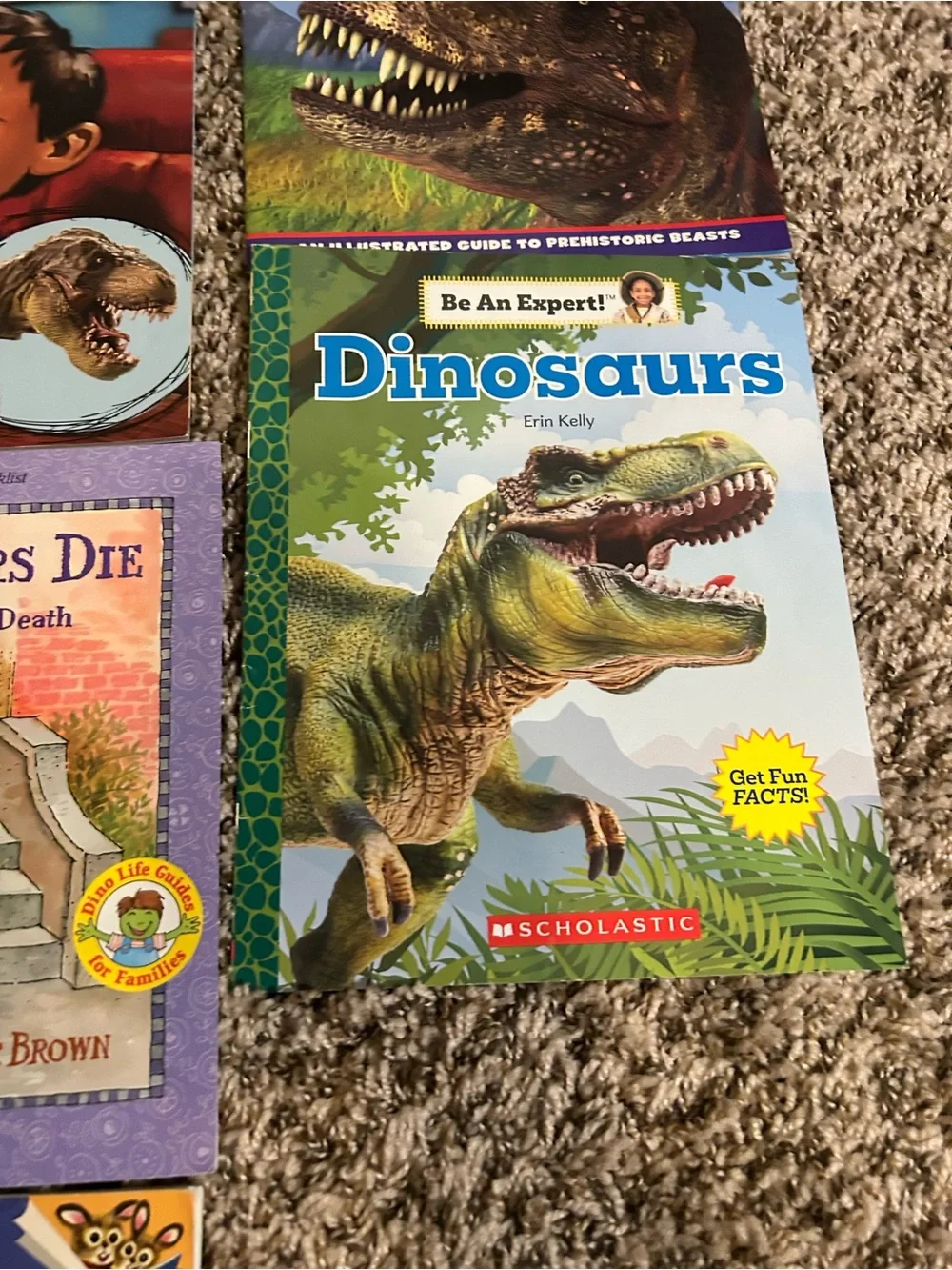 Assorted Kids Dinosaur Books - lot of 10 books
